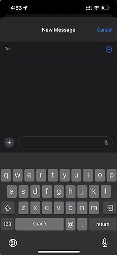 iOS Keyboard