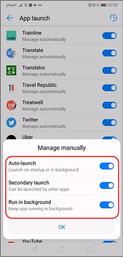 App Launch Options