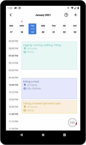 Time-Use Activity User Interface