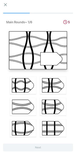 Matrix Reasoning in the Participant App.PNG