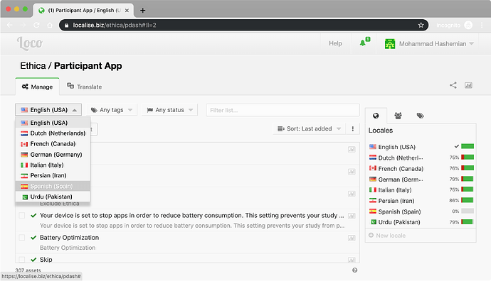 Choosing the Language for Translation